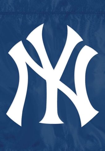 علم حديقة MLB، أزرق، 18 بوصة × 12.5 بوصة in Saudi Arabia