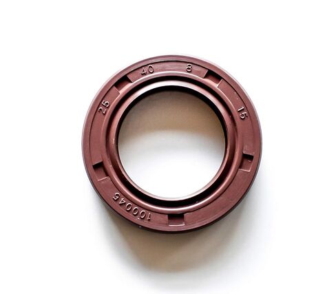 EAI 25mm x 40mm x 8mm FPM/FKM TC Double Lip w/Stainless Steel Spring Oil Seal. Comp. /w Viton Shaft Seal in Saudi Arabia