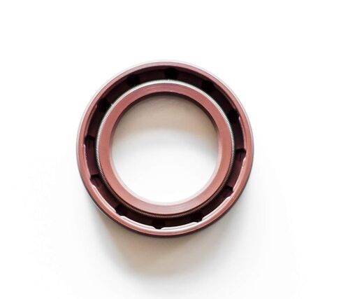 EAI 25mm x 40mm x 8mm FPM/FKM TC Double Lip w/Stainless Steel Spring Oil Seal. Comp. /w Viton Shaft Seal in Saudi Arabia