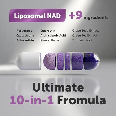 المكونات الدقيقة Liposomal NAD+ Ultimate Complex 1000 مجم | 120 كبسولة نباتية | ملحق NMN البديل | 10 في 1 مع ريسفيراترول، الجلوتاثيون، وأستازانتين | ملحق NAD للنساء والرجال in Kuwait