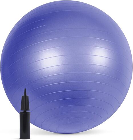 Fitness Anti-Burst Stability Ball, 65cm, Purple in Saudi Arabia