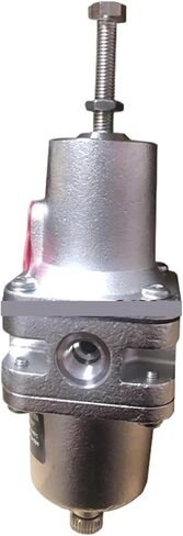 B38P-244-A1MA 1/4NPT برغي الموضوع الفولاذ المقاوم للصدأ تصفية صمام تخفيض الضغط in Kuwait