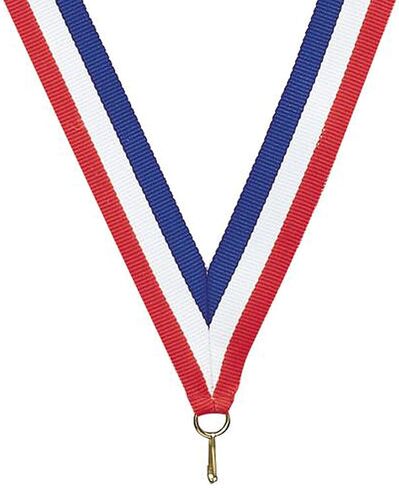 50 حزمة من جوائز الميداليات الذهبية من AB Honor Roll مع أشرطة للرقبة MS in Kuwait