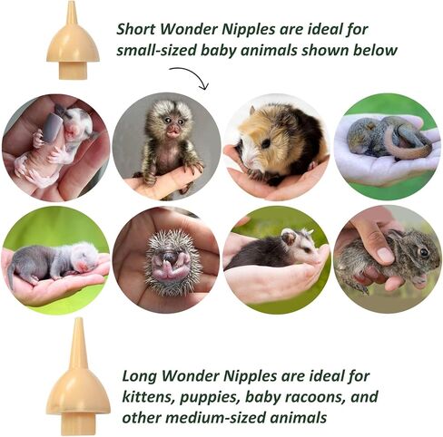 Wonder Nipple - Nursing Nipple for Baby Animals - Handfeeding Baby Squirrels, Sugar Gliders, Hedgehogs, Guinea Pigs, Racoons, Prairie Dogs, Opossums, and More! (Standard) in Saudi Arabia