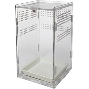 حاوية العنكبوت الأكريليك ، حاوية الزواحف ، موطن الخلل ، للزواحف الصغيرة المسكن ، حاوية الشجاعة الشجرية ، مجموعة تيراريوم العنكبوت ، terrarium البلاستيك (4.7 "× 4.7" × 8 ") in Kuwait