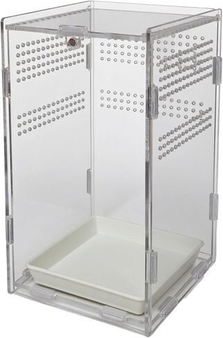 حاوية العنكبوت الأكريليك ، حاوية الزواحف ، موطن الخلل ، للزواحف الصغيرة المسكن ، حاوية الشجاعة الشجرية ، مجموعة تيراريوم العنكبوت ، terrarium البلاستيك (4.7 "× 4.7" × 8 ") in Kuwait