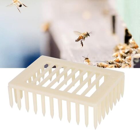 Plastic Square Shape Queen Rearing Box Bee Cage Beekeeper Tool Beekeeping Equipment for Beehive Inspection in Saudi Arabia