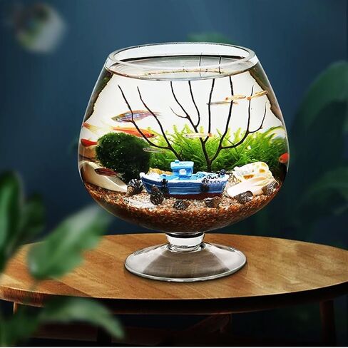 Fish Tank Fish Tank Goblet Shaped Fish Tank Aquarium Desktop Ecological Bottle Small Fish Tank Aquarium Clear Glass Water for Pets Aquarium(Medium) in Saudi Arabia