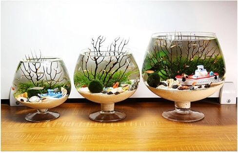 Fish Tank Fish Tank Goblet Shaped Fish Tank Aquarium Desktop Ecological Bottle Small Fish Tank Aquarium Clear Glass Water for Pets Aquarium(Medium) in Saudi Arabia