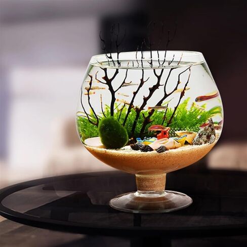 Fish Tank Fish Tank Goblet Shaped Fish Tank Aquarium Desktop Ecological Bottle Small Fish Tank Aquarium Clear Glass Water for Pets Aquarium(Medium) in Saudi Arabia