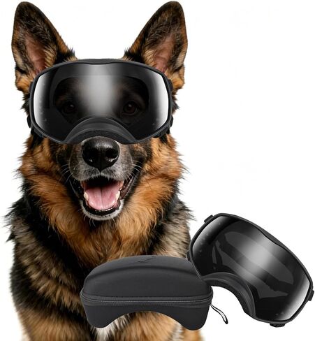Dog Sunglasses UV Protection Clear Dog Goggles Windproof Glasses with Elastic Straps for Medium-Large Breed, Black Frame + Clear Lens in Saudi Arabia