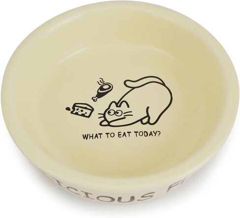 TTCAT Oval Cat Cat Food Bowl ، نمط الكرتون اللطيف ، وعاء أساسي للكلب والقط ، وأطباق تغذية الحيوانات الأليفة الصغيرة للقطط ، والقطار ، والكلب الصغيرة ، وغسالة الصحون آمنة ... in Kuwait