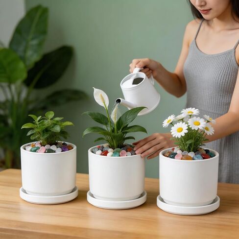 مجموعة حجر كريستال علاجي متعدد الألوان، 90 قطعة من الأحجار الكريمة، 0.5-0.8 بوصة أحجار متساقطة منتقاة يدويًا وكريستال للشفاء والريكي والتأمل والسحر والمنزل in Kuwait