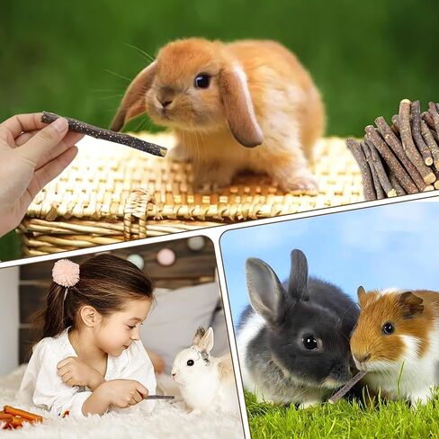 900g/2lb تفاح صغير العصي حيوانات الخشب المولي يعامل ألعاب الأرانب للأرانب شينشيلاس غينيا خنزير الهامستر ببغاء الببغاء الببغاء والحيوانات الصغيرة مضغ عصا عصا العصي in Kuwait