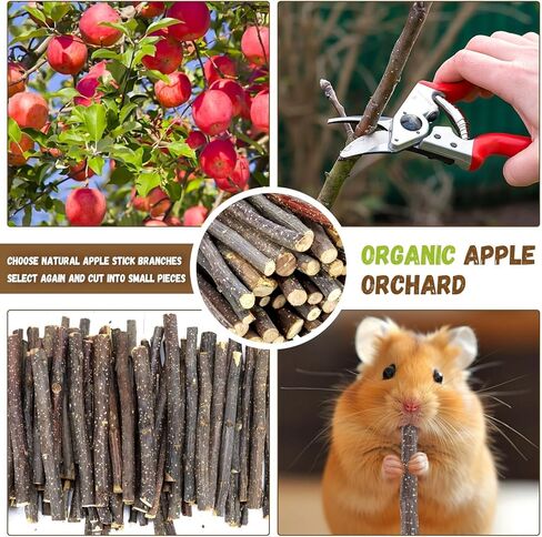900g/2lb تفاح صغير العصي حيوانات الخشب المولي يعامل ألعاب الأرانب للأرانب شينشيلاس غينيا خنزير الهامستر ببغاء الببغاء الببغاء والحيوانات الصغيرة مضغ عصا عصا العصي in Kuwait