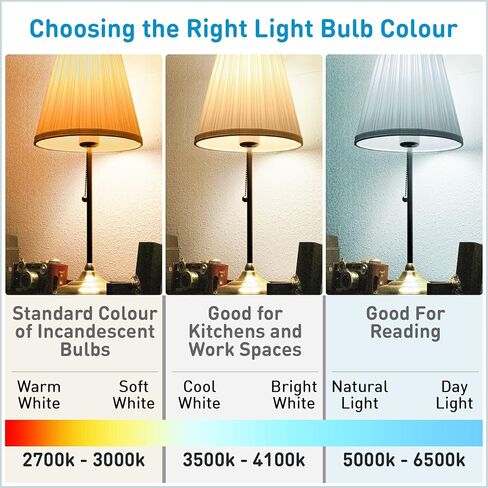 (2 Pack) Sylvania 23539 Bright/Warm White, Premium Circline Fluorescent T9 Circle 12 inch Diameter, 32 watts, 3000K, 2100 lumens, 80 CRI Fluorescent Light Bulb in Saudi Arabia