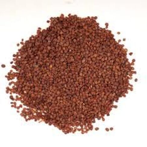 Aacure Lajwanti Seeds 3.5oz | 100gms | Traditional Beej Cleanly Processed & Pure in Saudi Arabia