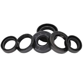 TC 21 22 23 * 28 30 32 35 38 40 42 45 47 48 52 55 * 4 5 6 7 810 مطاط النتريل NBR مخدد الشفاه الربيع طوقا حلقة الهيكل العظمي النفط الختم (10 قطع 22X42X8_TC) in Kuwait