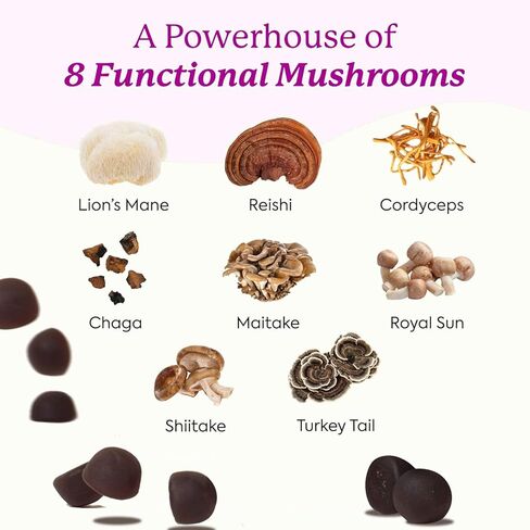 Lions Mane Mushroom Gummies Supplement - 12 Organic Mushroom Blend with Cordyceps, Reishi, Chaga, Blueberry Flavor Herbal Brain Supplement for Energy & Health, Cognitive, Memory & Focus, 60 Gummies in Saudi Arabia