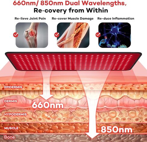 Ezona Red Light Therapy Pad for Body Pain, 24 x 12 inch Large Infrared Light Therapy with 660/ 850nm for Back Relief, High-Output 242 LEDs Light with Remote Control for Shoulder Waist Knee Muscle in Saudi Arabia