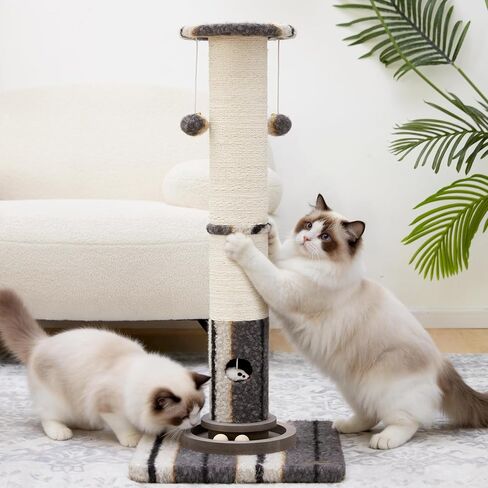 منشورات Scratcher للبالغين القطط - 33 بوصة خدش القطط الطويل ، وظيفة سيزال الممتازة للقطط ، وشجرة خدش القط مع قاعدة مستقرة مقوى والكرة الخشبية التفاعلية (خضراء) in Kuwait
