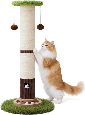 Scratcher Posts for Adults Cats - 33" Tall Cat Scratching Post, Premium Sisal Post for Kittens, Cat Scratcher Tree with Reinforced Stable Base and Interactive Wooden Ball (Green) in Kuwait