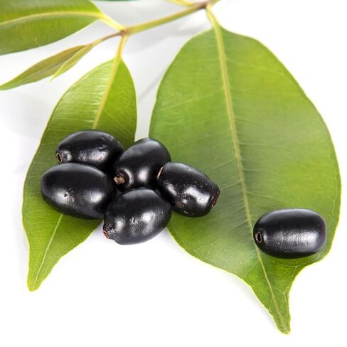 Jamun Leaves Powder | 100 gm | Syzygium cumini in Saudi Arabia