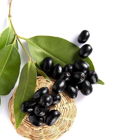 Jamun Leaves Powder | 100 gm | Syzygium cumini in Saudi Arabia