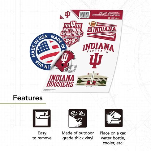 Desert Cactus Indiana University Champs Sticker Hoosiers Bloomington Vinyl Decals Laptop Water Bottle Car Scrapbook Sheet T2 (Type 2 2025 Football Championship) in Saudi Arabia