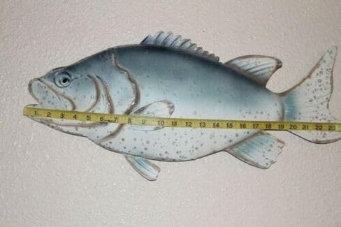 Vintage Large Bass Wall Mount, 24 1/2 inch, Metal, BRR-01 - in Saudi Arabia