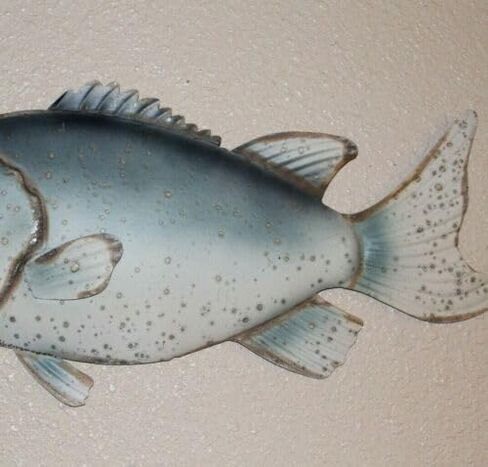 Vintage Large Bass Wall Mount, 24 1/2 inch, Metal, BRR-01 - in Saudi Arabia
