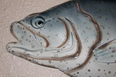 Vintage Large Bass Wall Mount, 24 1/2 inch, Metal, BRR-01 - in Saudi Arabia