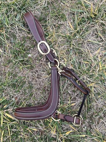 Leaders Padded Curved Leather Halter with Customized Engraved Name Plate Ergonomic Leather Halter for Horses in Saudi Arabia