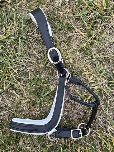 Leaders Padded Curved Leather Halter with Customized Engraved Name Plate Ergonomic Leather Halter for Horses in Saudi Arabia