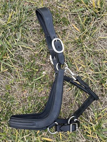 Leaders Padded Curved Leather Halter with Customized Engraved Name Plate Ergonomic Leather Halter for Horses in Saudi Arabia