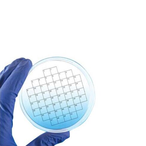 ملصق شبكي مربع من PetriStickers PSTK-1100 لطبق بيتري من التكنولوجيا الحيوية المتنوعة، 100 شبكة مربعة (عبوة من 36 قطعة) in Kuwait