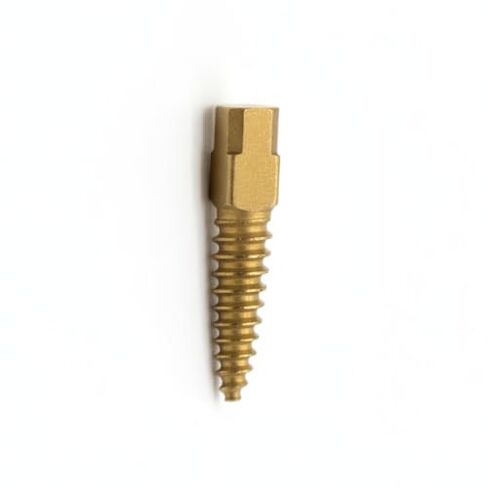 DN-RST-S6 Suretex Gold Post, Short, 7.8mm Length, Size 6, Shape, (Pack of 12) in Saudi Arabia