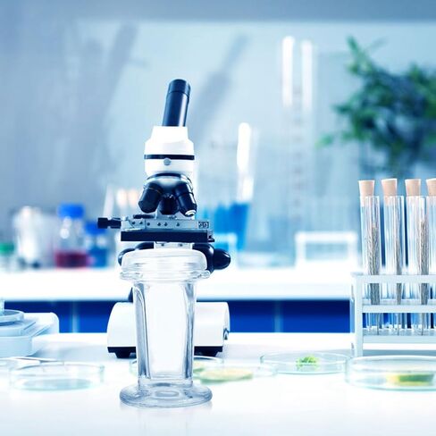 3pcs 60ml Glass Staining Jars with Lid for Microscope Slides, Laboratory Staining Tank for Biology and Pathology Research, Holds 5 Slides, Glass Jar for Scientific Experiments in Kuwait