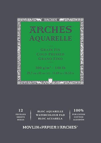 Arches Aquarelle 100% Fine 300 g Glued Pad A3 12 Sheets Natural White in Saudi Arabia