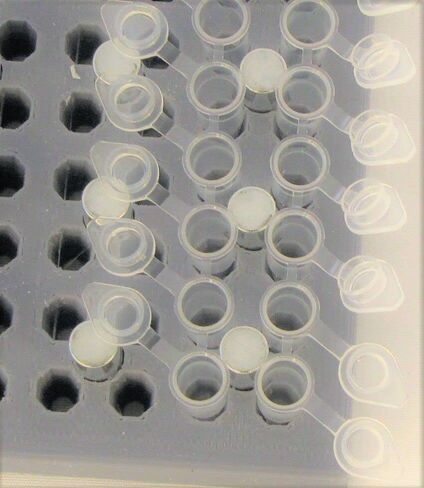 فاصل فصل الخرز المغناطيسي، رف حامل للوحة PCR سعة 96 بئرًا، وأنبوب شريط PCR، ولوحة بئر عميقة 96 بئرًا. تنقية البروتين DNA RNA. in Kuwait