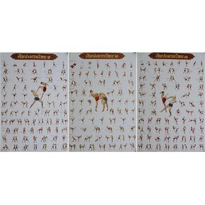by soljo Set of 3 Muay Thai Training Moves Boxing Sport Poster 78 cm X 54 cm (New) in Saudi Arabia