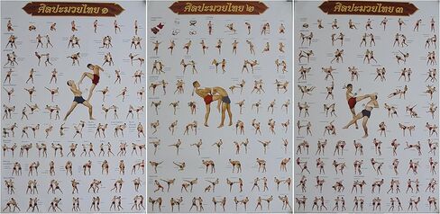 by soljo Set of 3 Muay Thai Training Moves Boxing Sport Poster 78 cm X 54 cm (New) in Saudi Arabia