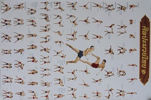 by soljo Set of 3 Muay Thai Training Moves Boxing Sport Poster 78 cm X 54 cm (New) in Saudi Arabia
