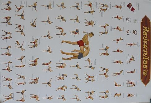 by soljo Set of 3 Muay Thai Training Moves Boxing Sport Poster 78 cm X 54 cm (New) in Saudi Arabia