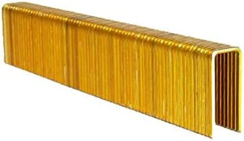 1" Leg x 7/16" Crown 16GA GALV N13 Staples 10,000ct in Kuwait