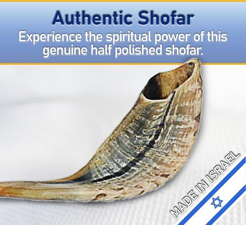 Shofarot Israel 8"-10" Kosher Rams Horn Half Polished Ram Shofar | Authentic Shofar Horn from Israel | Jewish Blowing Horn, Chofar Original Israel in Saudi Arabia