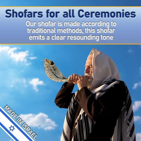 Shofarot Israel 8"-10" Kosher Rams Horn Half Polished Ram Shofar | Authentic Shofar Horn from Israel | Jewish Blowing Horn, Chofar Original Israel in Saudi Arabia