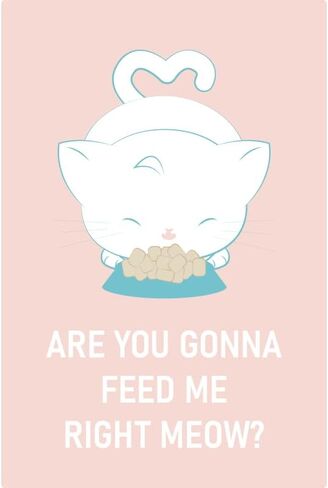 Are you Gonna Feed me Right Meow Sign in Saudi Arabia
