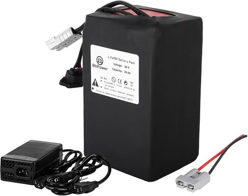 36V 12AH 16AH 20AH 25AH ليثيوم LiFePO4 E-Bike B حزمة بطاريات مدمجة 30A BMS لـ 0-540W in Saudi Arabia