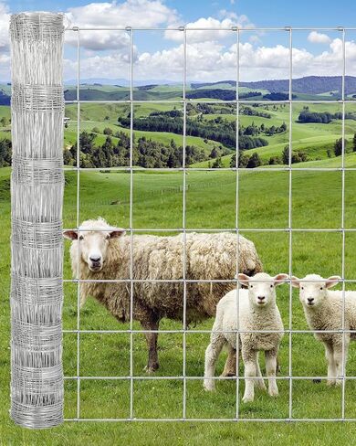 Livestock Fence in Saudi Arabia